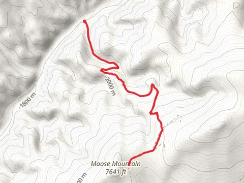 Moose Bottle Trail