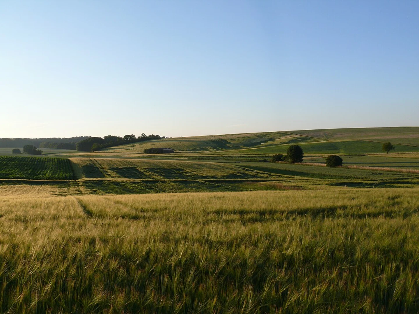 An image depicting the trail Hauenebersteiner Rundweg and its surrounding area.