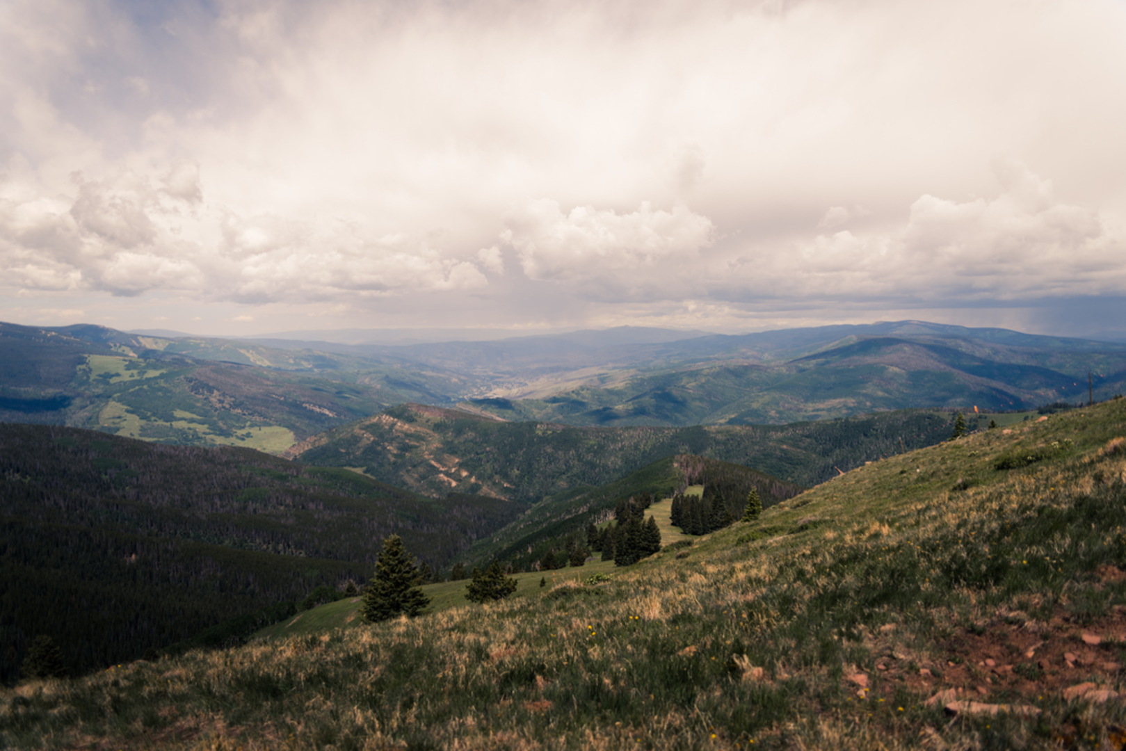 An image depicting the trail Grouse Lake Trail and its surrounding area.
