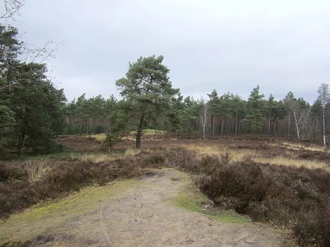 Galgenberg, Putjesberg and Rode Hoek Loop
