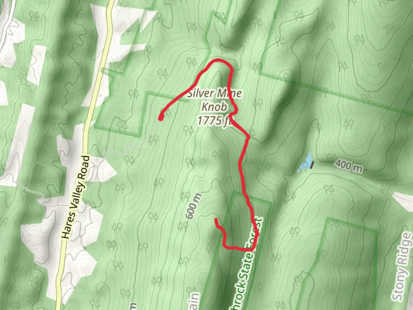 An image depicting the trail Silver Mine Knob and its surrounding area.