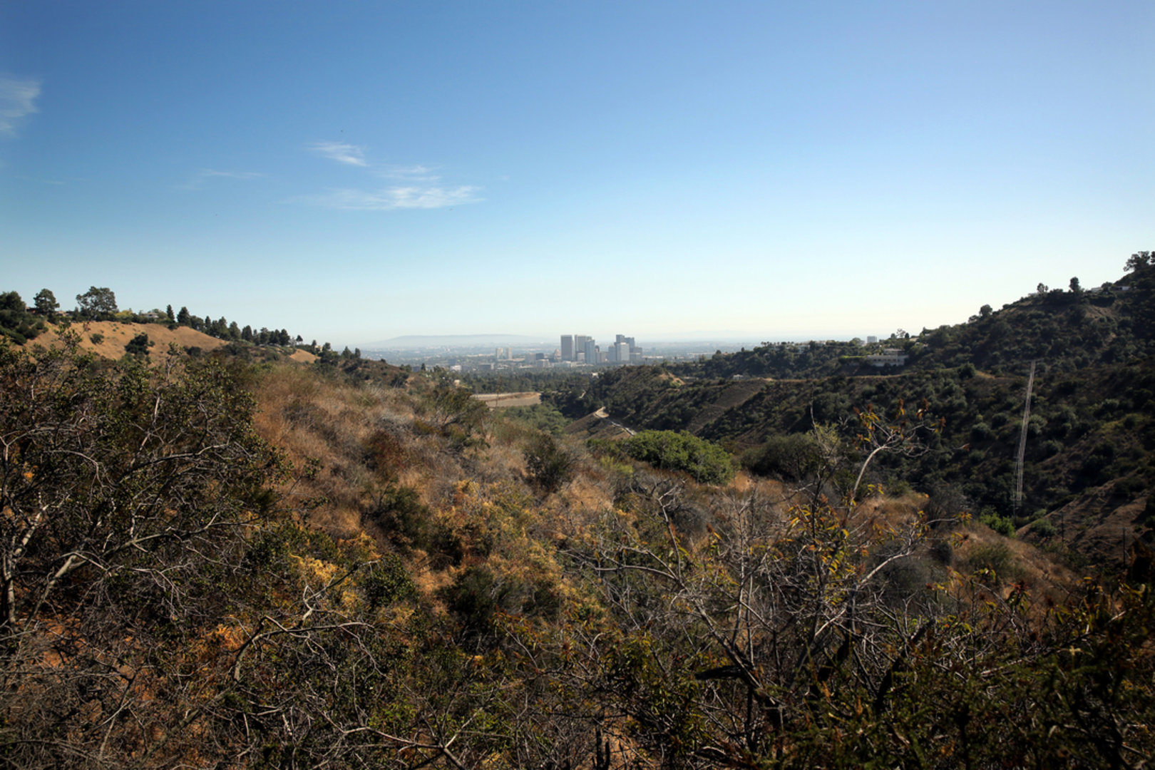 An image depicting the trail Chernoff Trail and its surrounding area.