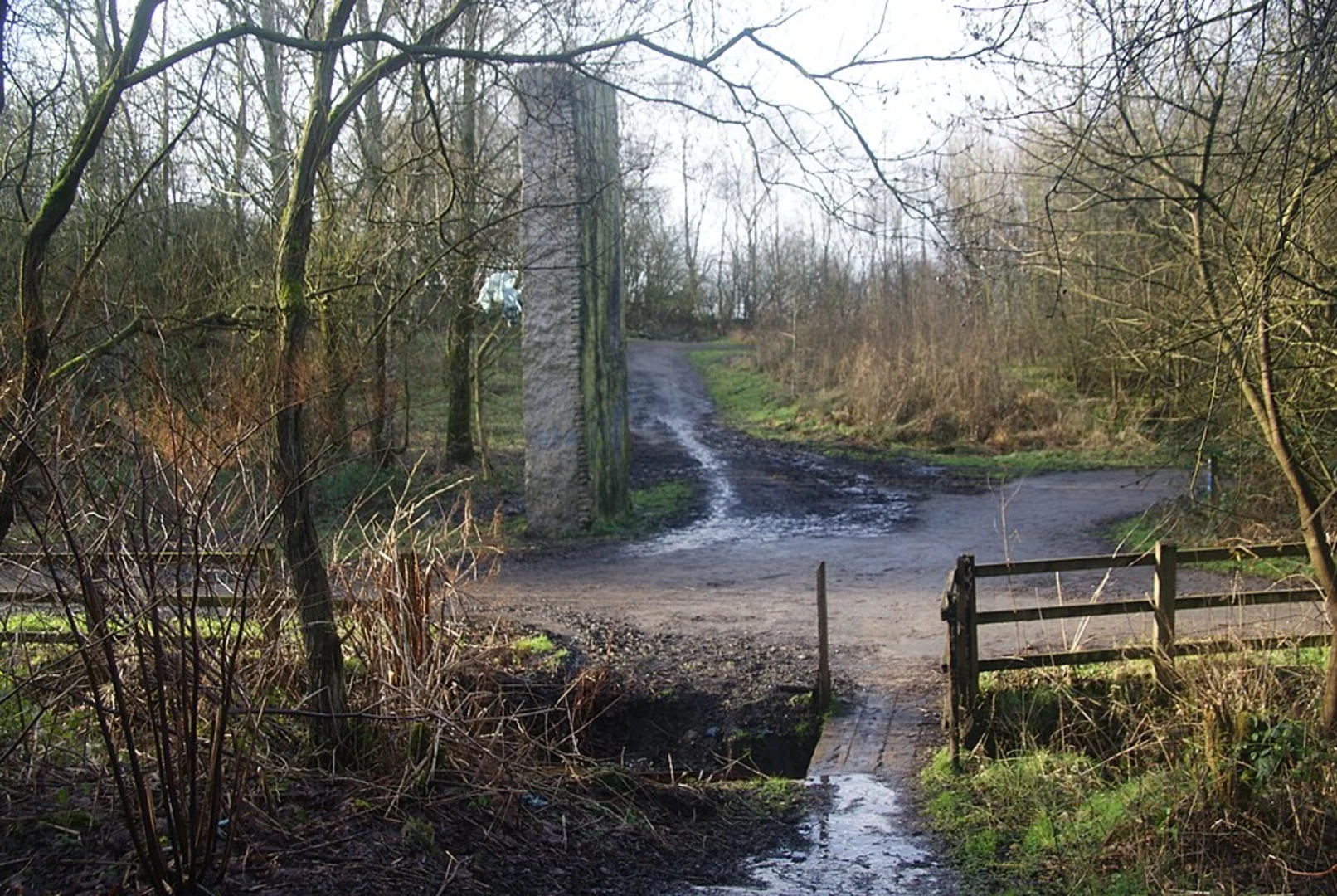 An image depicting the trail King George V Lodge and Outwood Country Park Loop and its surrounding area.