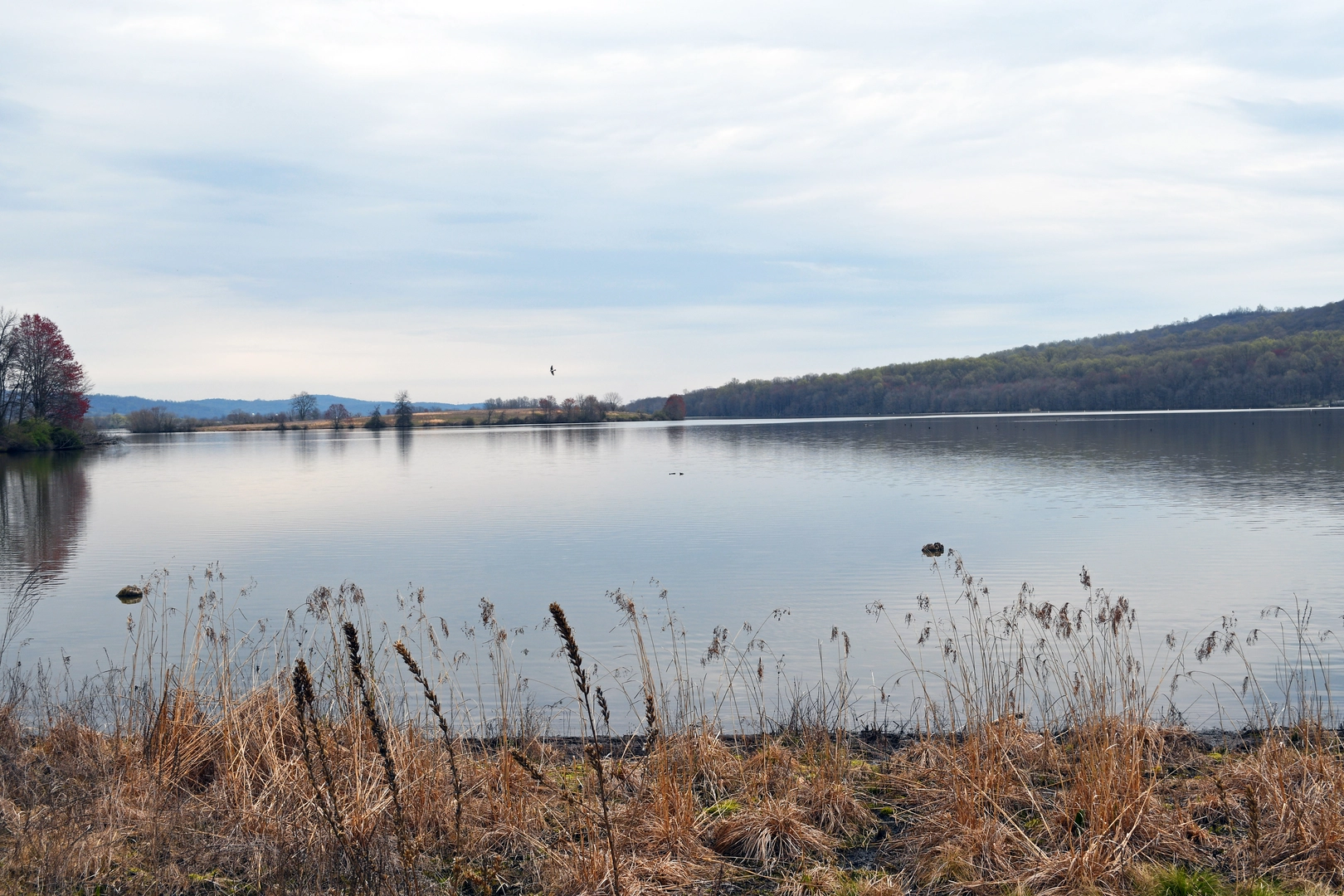 An image depicting the trail Millstone Loop Trail and its surrounding area.