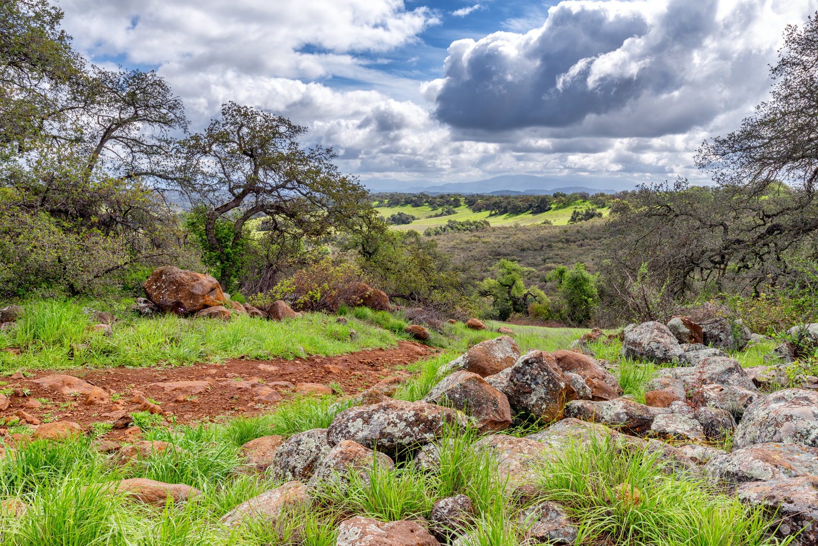 An image depicting the trail Vineyard Parkway and Cole Canyon Natural Park Walk and its surrounding area.