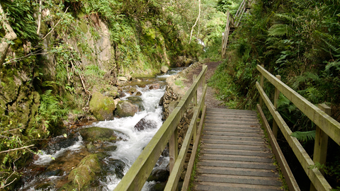 An image depicting the trail Alva, Alva Glen and Wood Hill and its surrounding area.