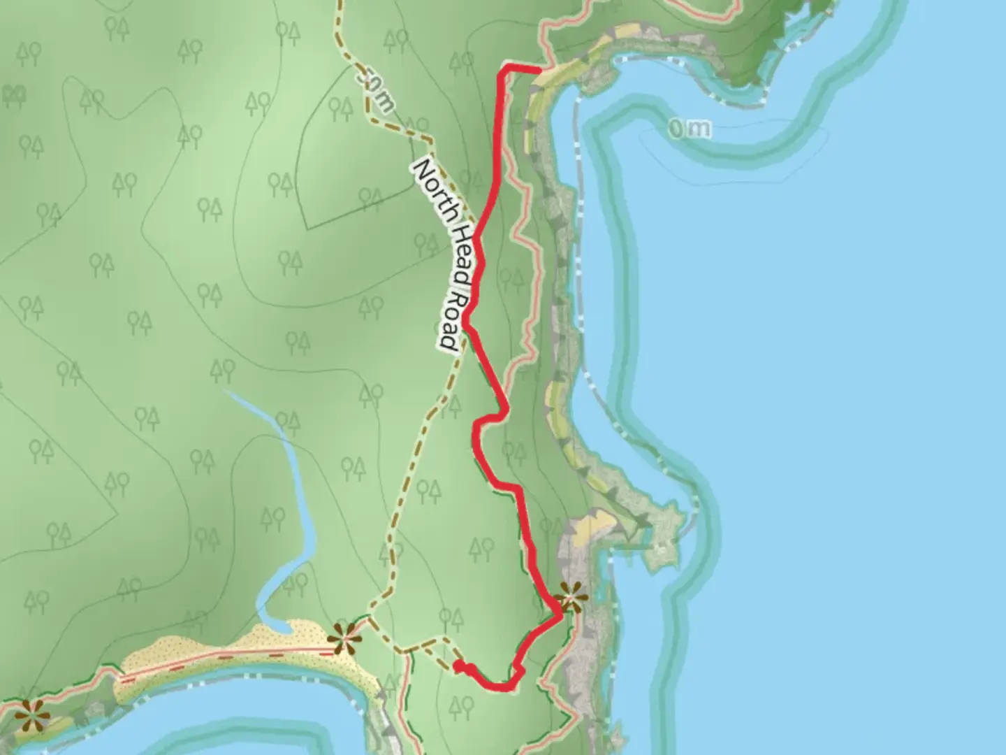 An image depicting the trail Honeysuckle Beach Track and its surrounding area.