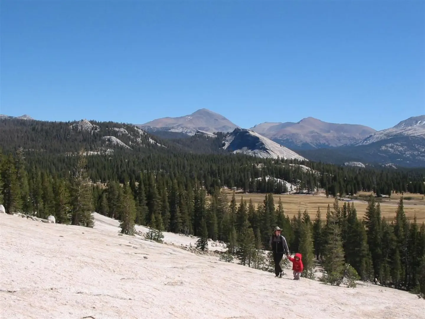 An image depicting the trail Evelyn Lake and Rafferty Creek Loop Trail and its surrounding area.