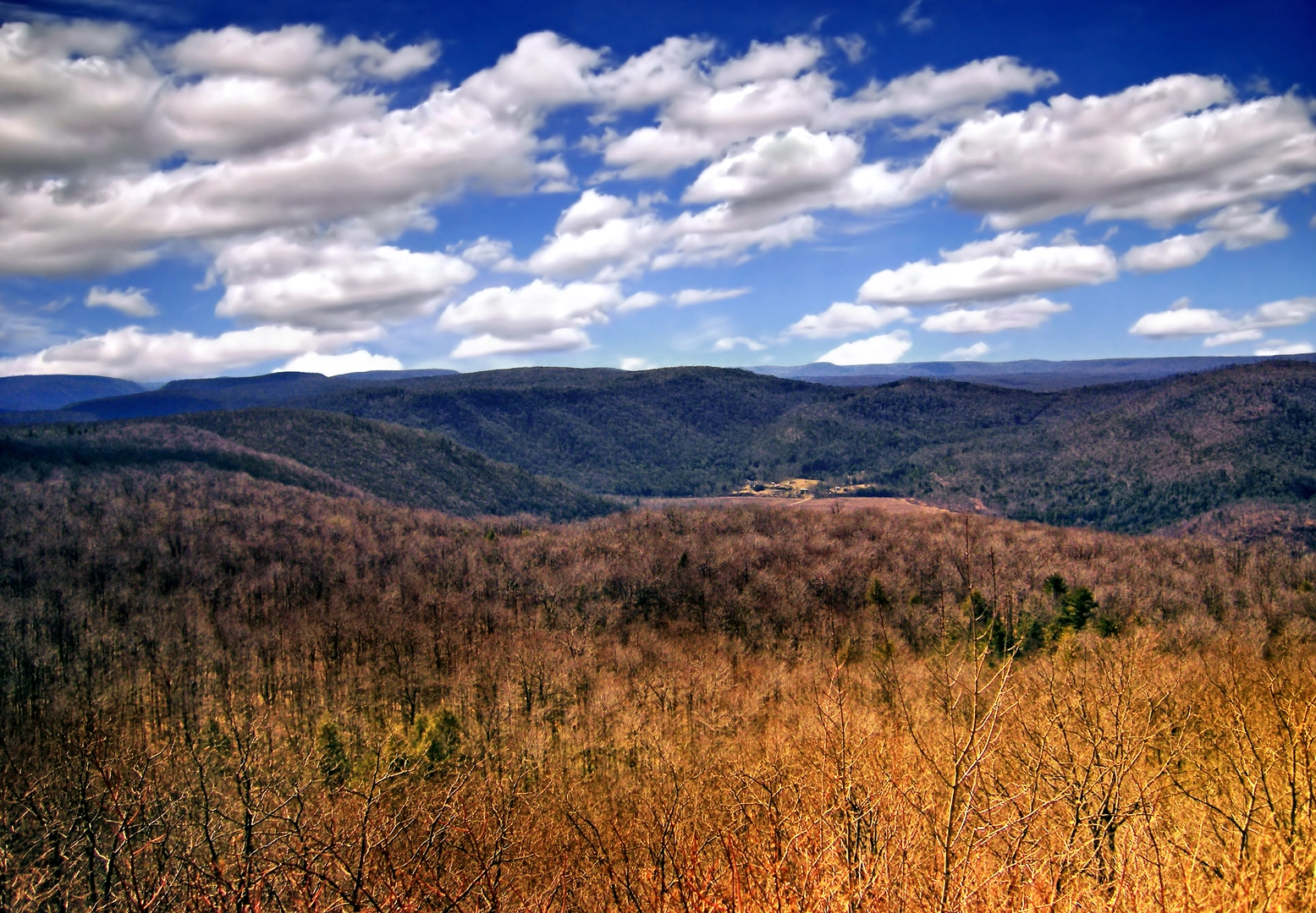 An image depicting the trail High Knob via Loyalsock Trail and its surrounding area.