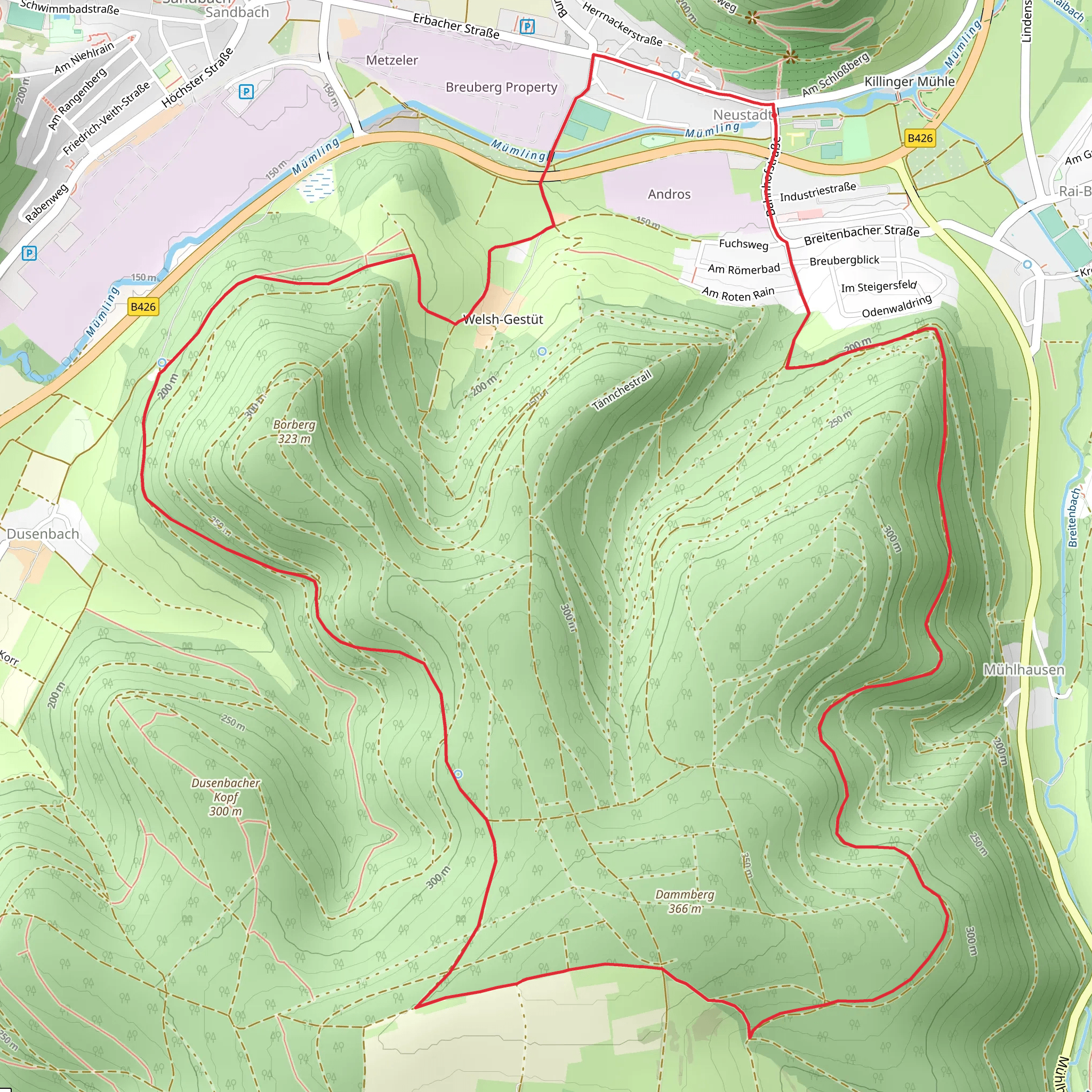 Neustadt Loop via Breitenbacher Kopf and Dusenbach mobile static map