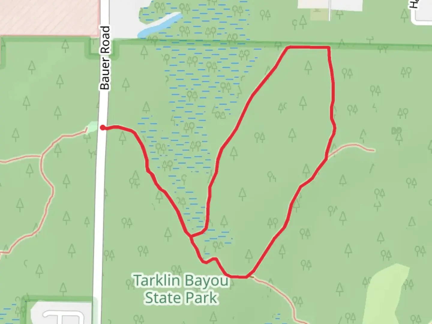 An image depicting the trail Tarklin Bayou Preserve State Park Loop Trail and its surrounding area.