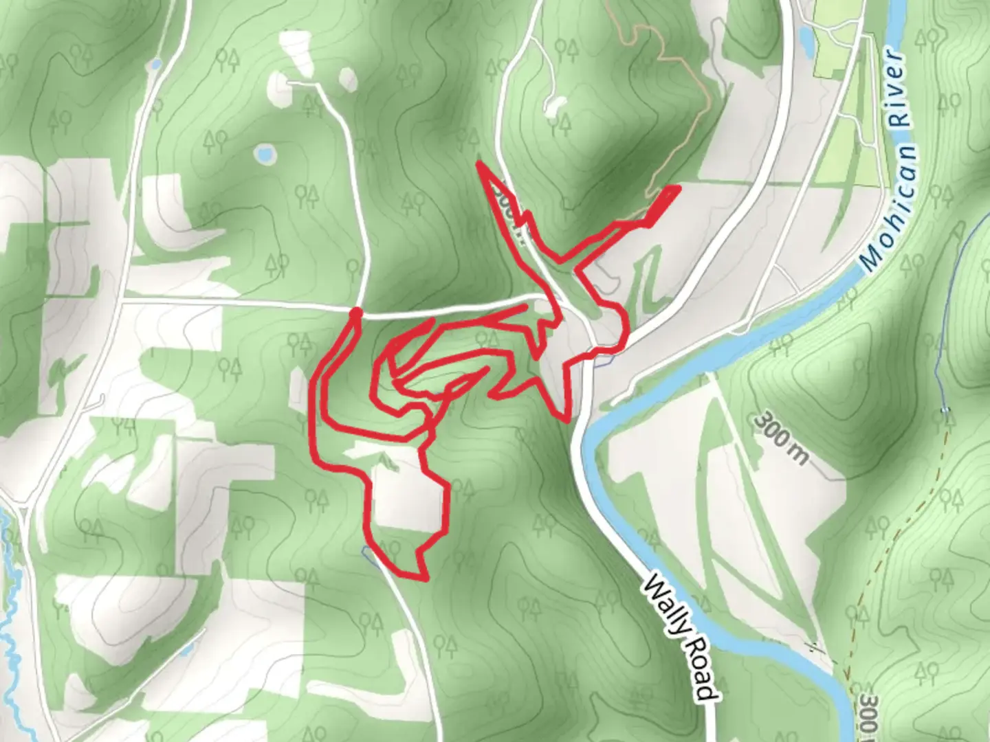 An image depicting the trail Stumbaugh Road Loop - East and its surrounding area.