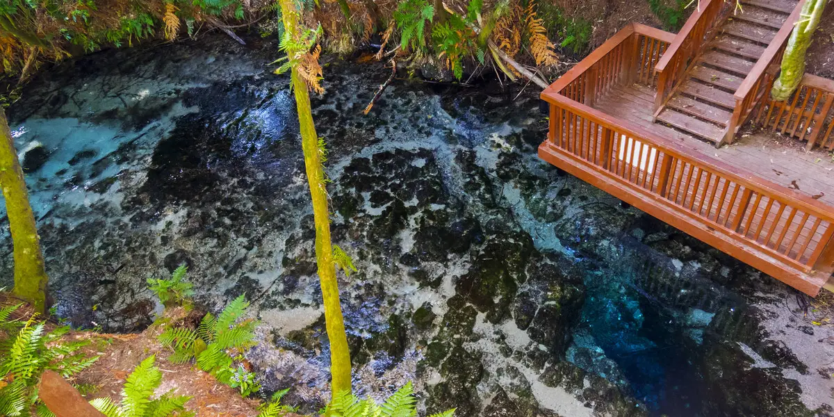 Hamurana Springs Loop Walkway
