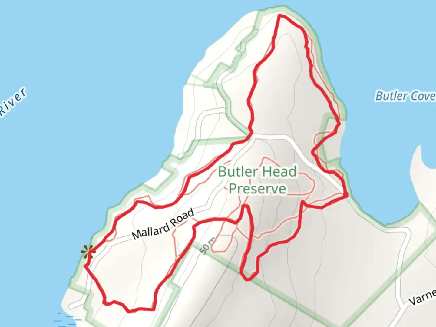 An image depicting the trail Loop Around Butler Cove and its surrounding area.