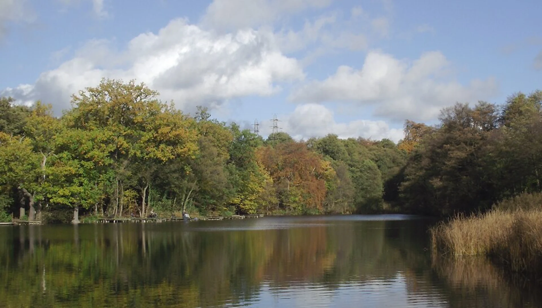 An image depicting the trail Spring Pool and Baggeridge Country Park and its surrounding area.