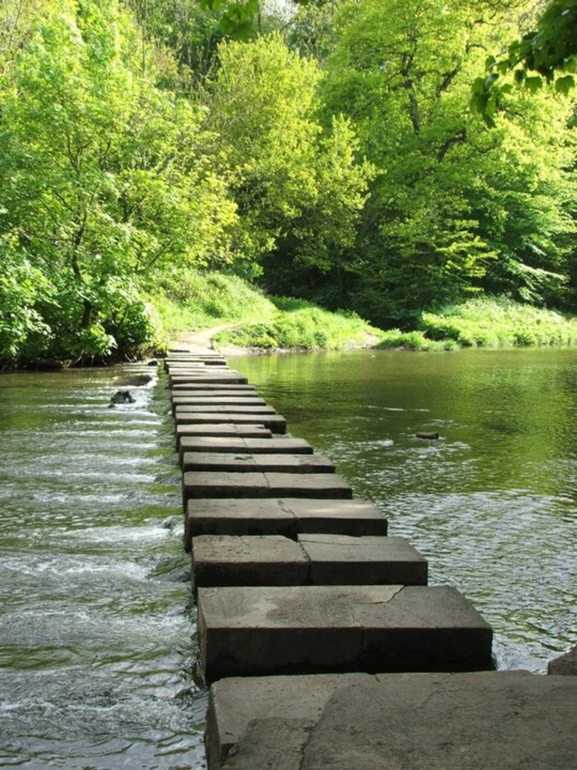 An image depicting the trail Humford Woods and its surrounding area.
