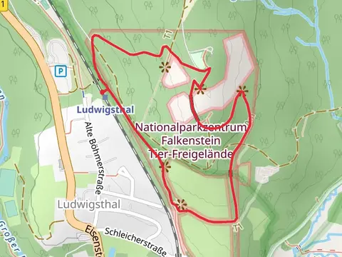 Nationalparkzentrum Falkenstein Tier-Freigelände Loop via Rundgand Wildtiere