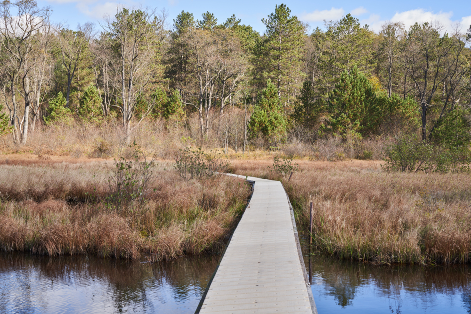 An image depicting the trail Salmon Creek Loop via Seldom Seen Trail and its surrounding area.