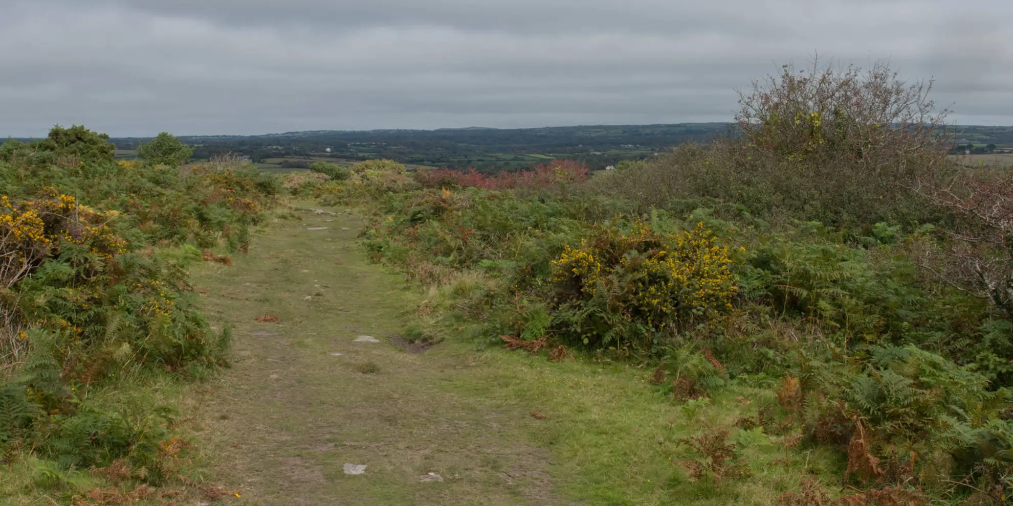 An image depicting the trail Godolphin Hill Walk and its surrounding area.