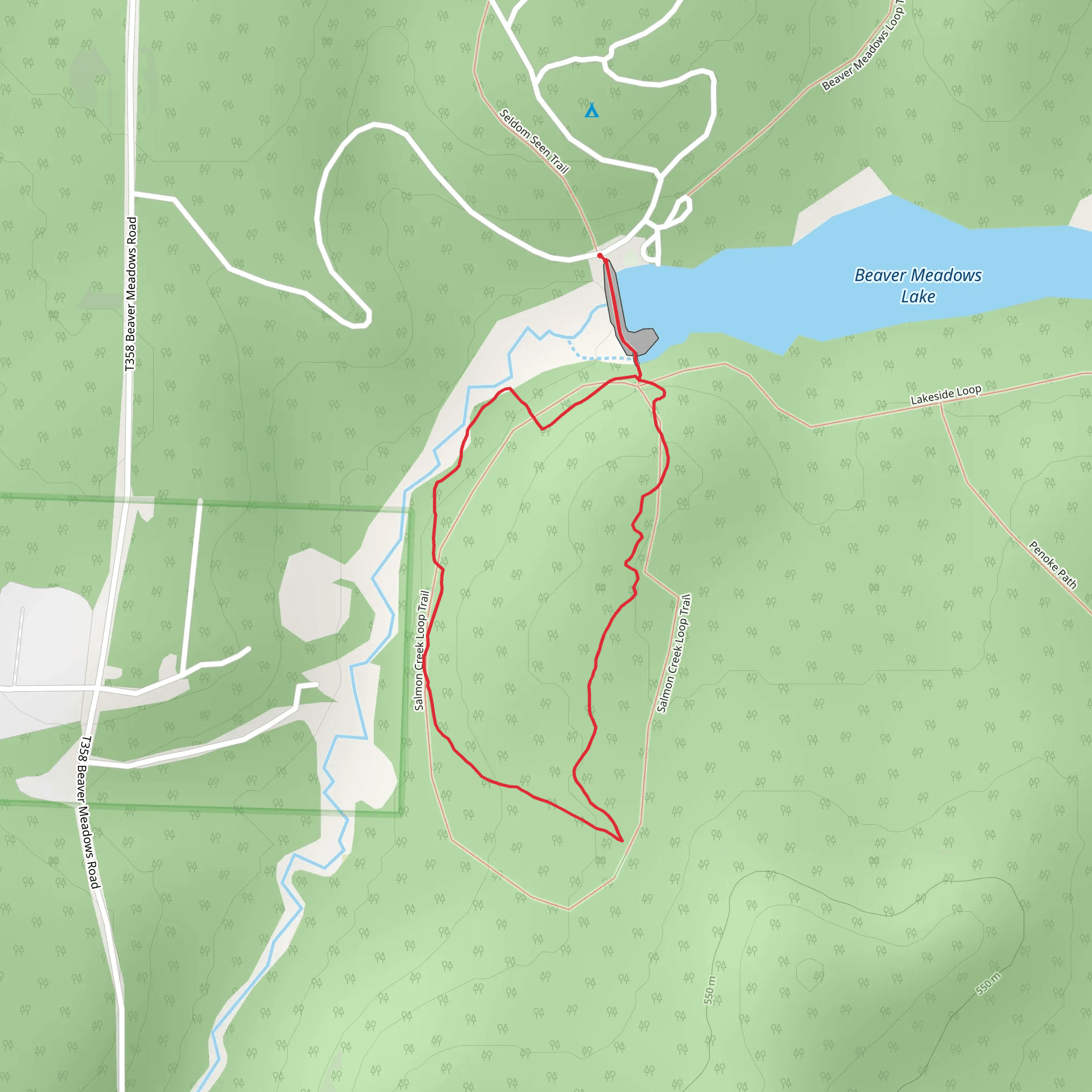 Salmon Creek Loop via Seldom Seen Trail mobile static map