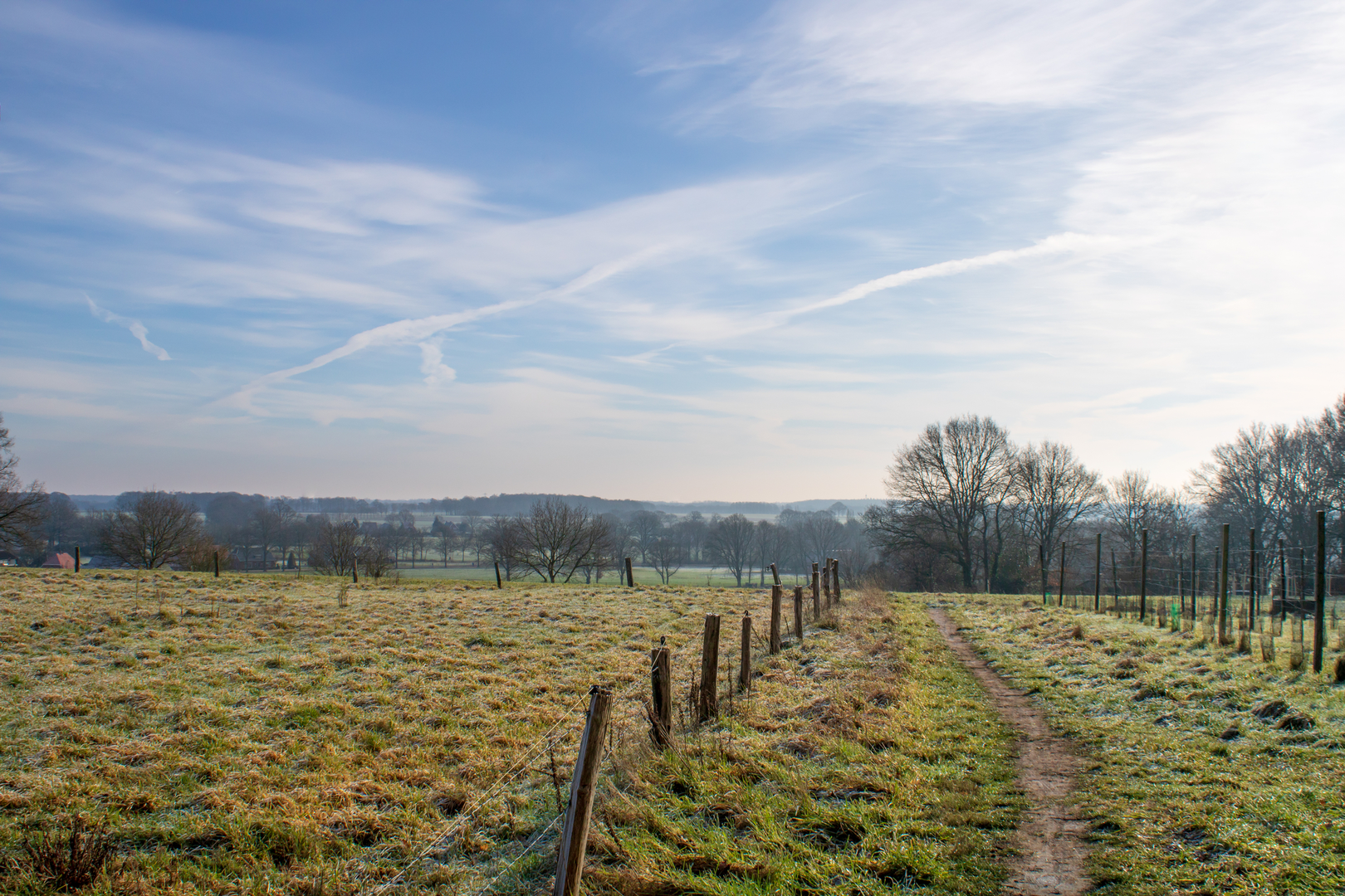 An image depicting the trail Beusbergen, Katten berg and Herikerberg Loop and its surrounding area.