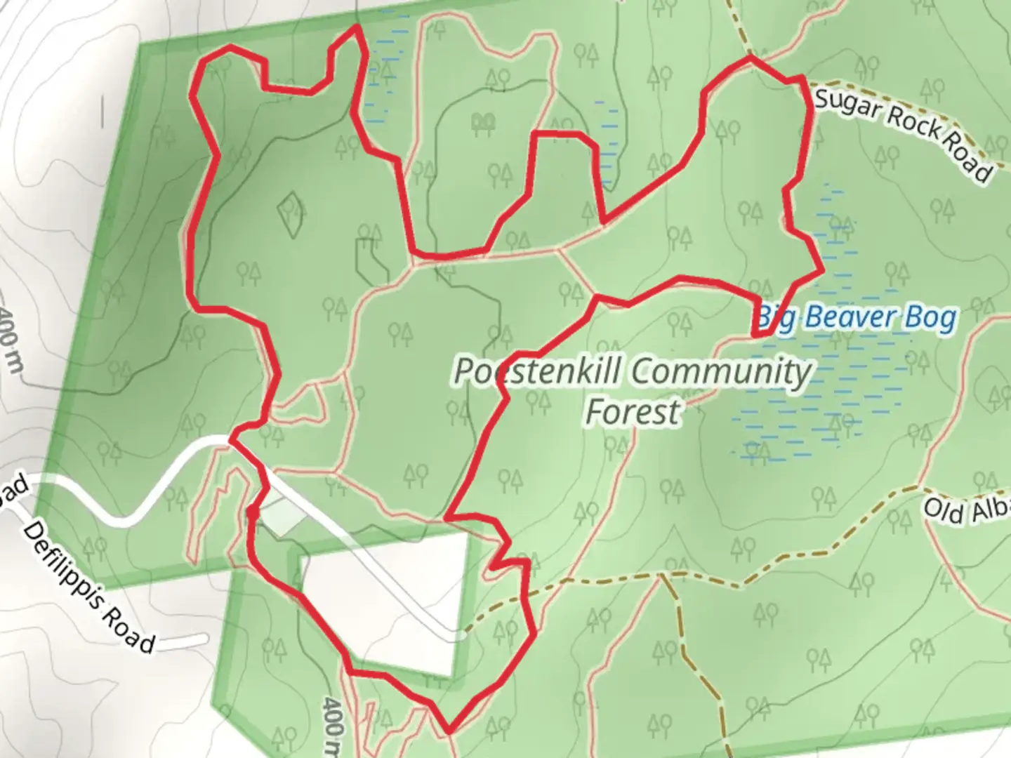 An image depicting the trail Saphouse - Red Loop and its surrounding area.