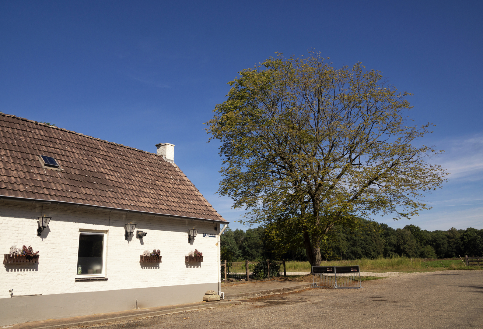 An image depicting the trail Vrijthof, Zeilsterhof and Sint Ursulamolen Loop and its surrounding area.