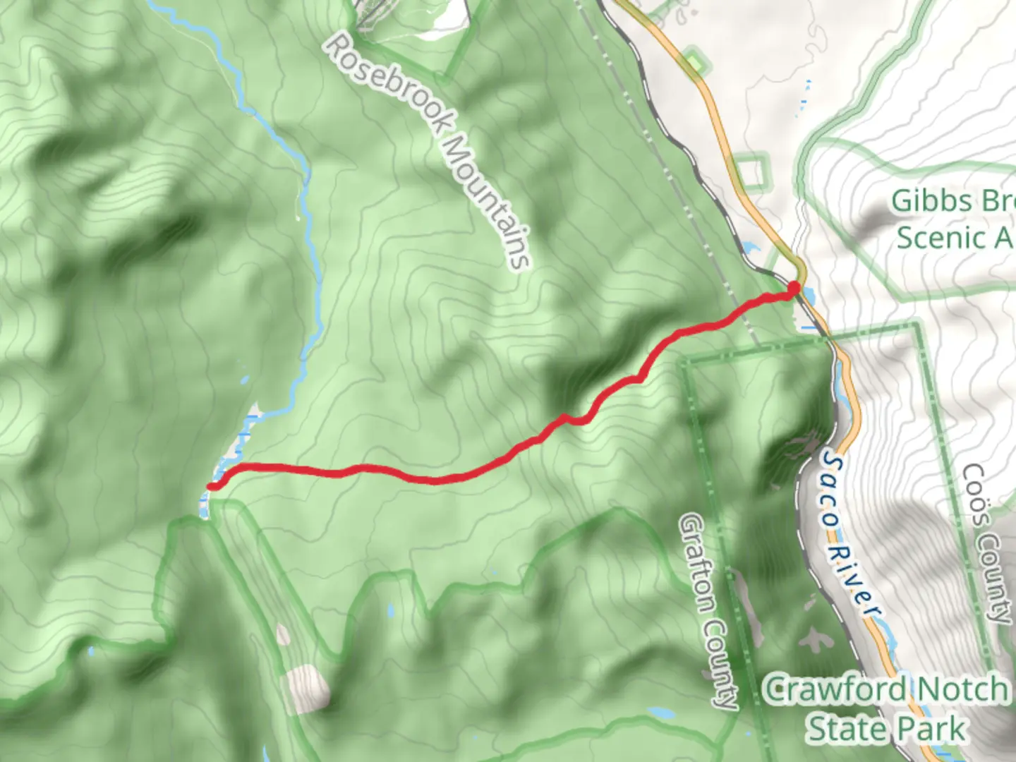 An image depicting the trail Zealand Pond via Avalon Trail and its surrounding area.