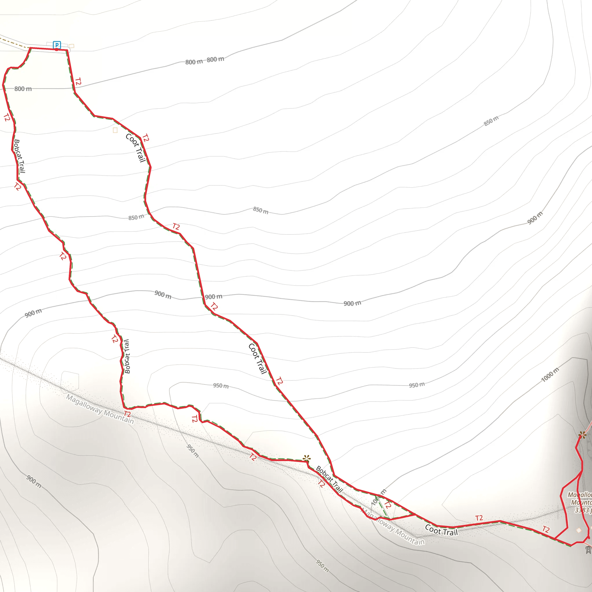 Magalloway Mountain via Coot Trail Loop mobile static map