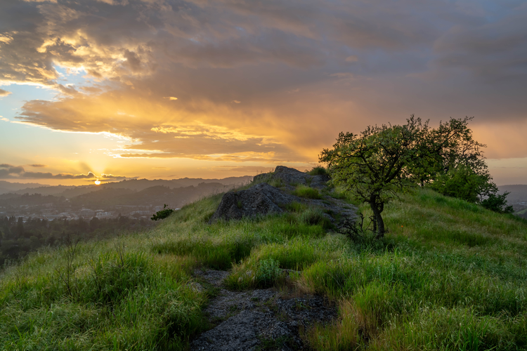 George Cardinet Back Creek, Falls and Donner Loop Trail