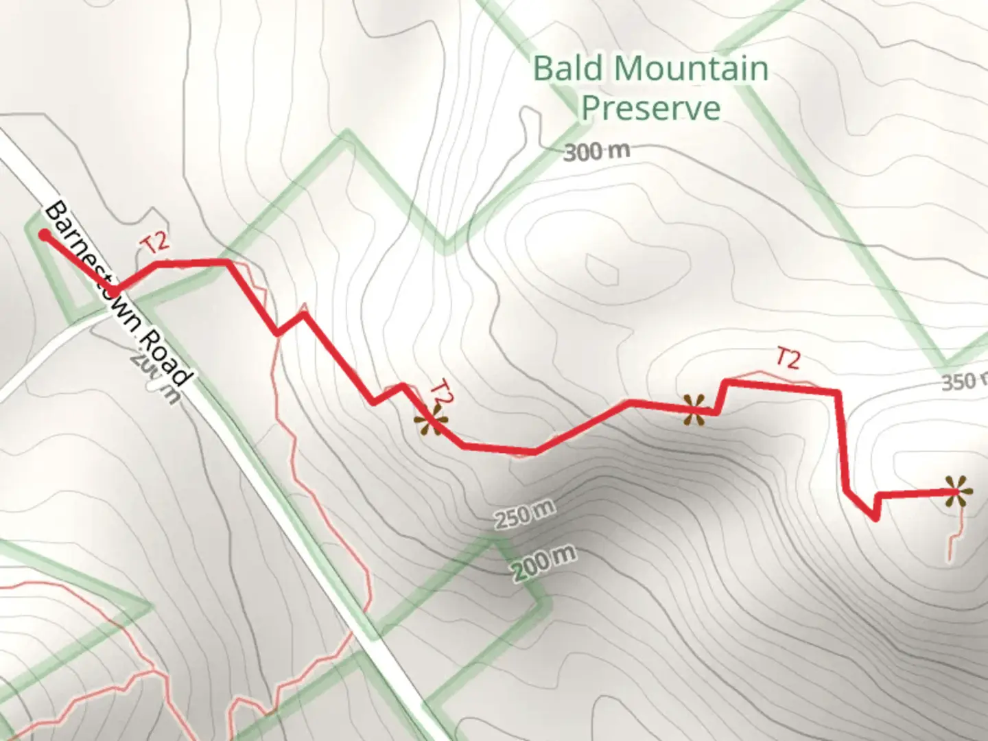 An image depicting the trail Bald Mountain and its surrounding area.
