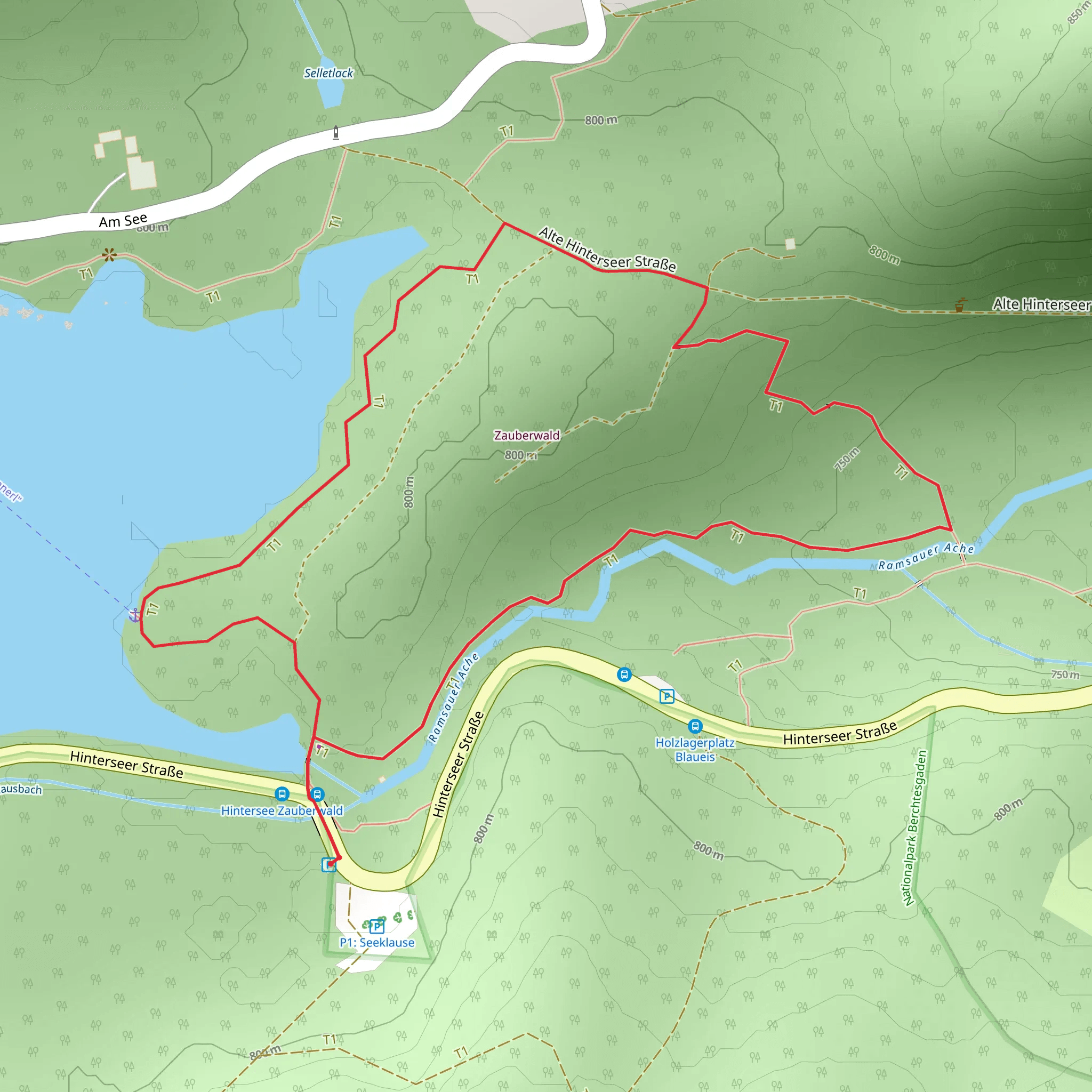 Zauberwald Loop via Lehrpfad Zauberwald mobile static map