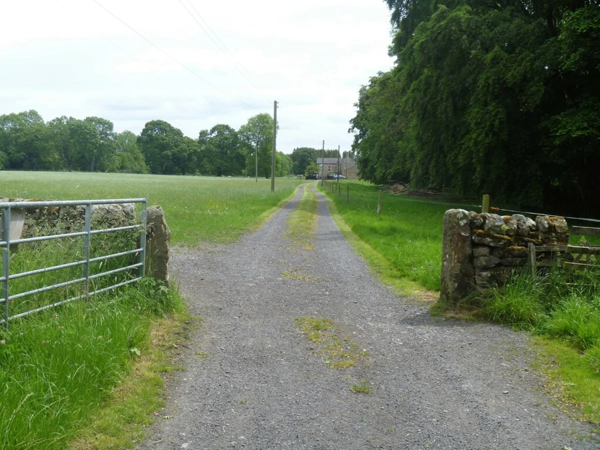 Barnard Castle and Cotherstone Loop walk via River Tees
