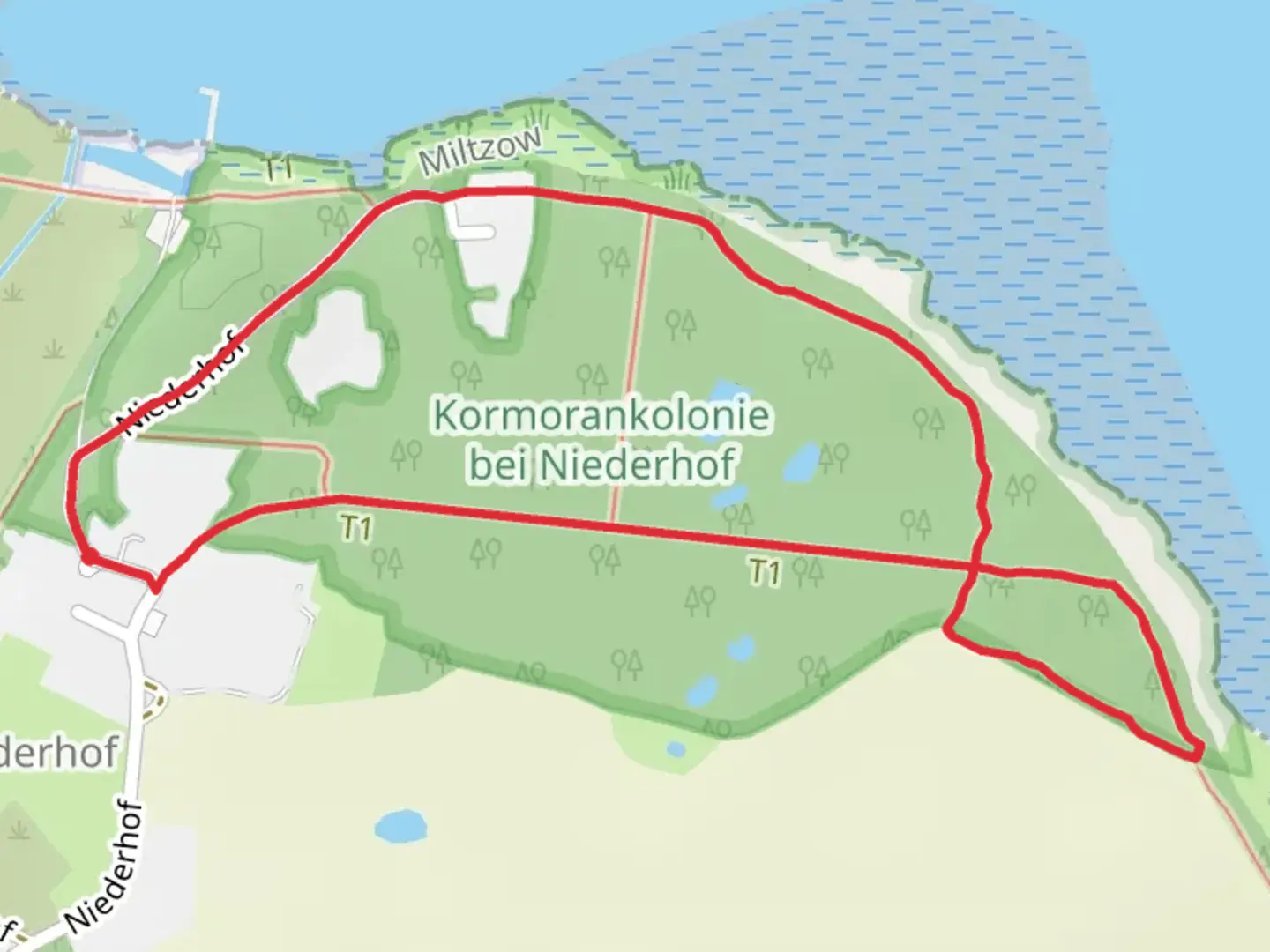 An image depicting the trail Kormorankolonie bei Niederhof Loop and its surrounding area.