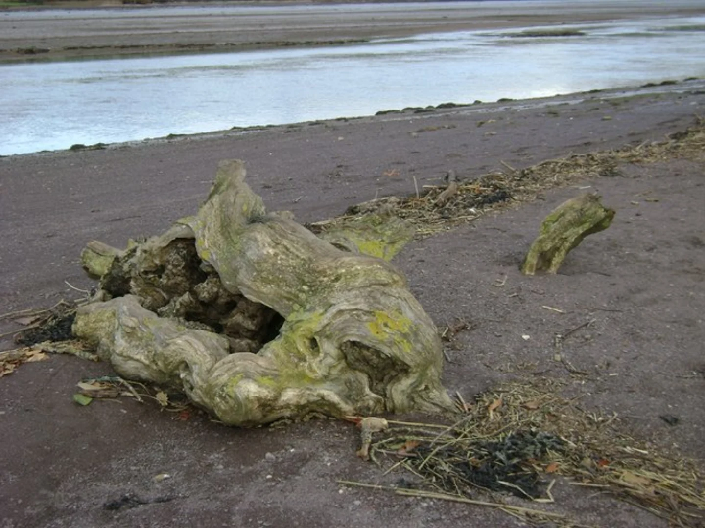 An image depicting the trail Haytor Granite Tramway and Templer Way along River Teign and its surrounding area.