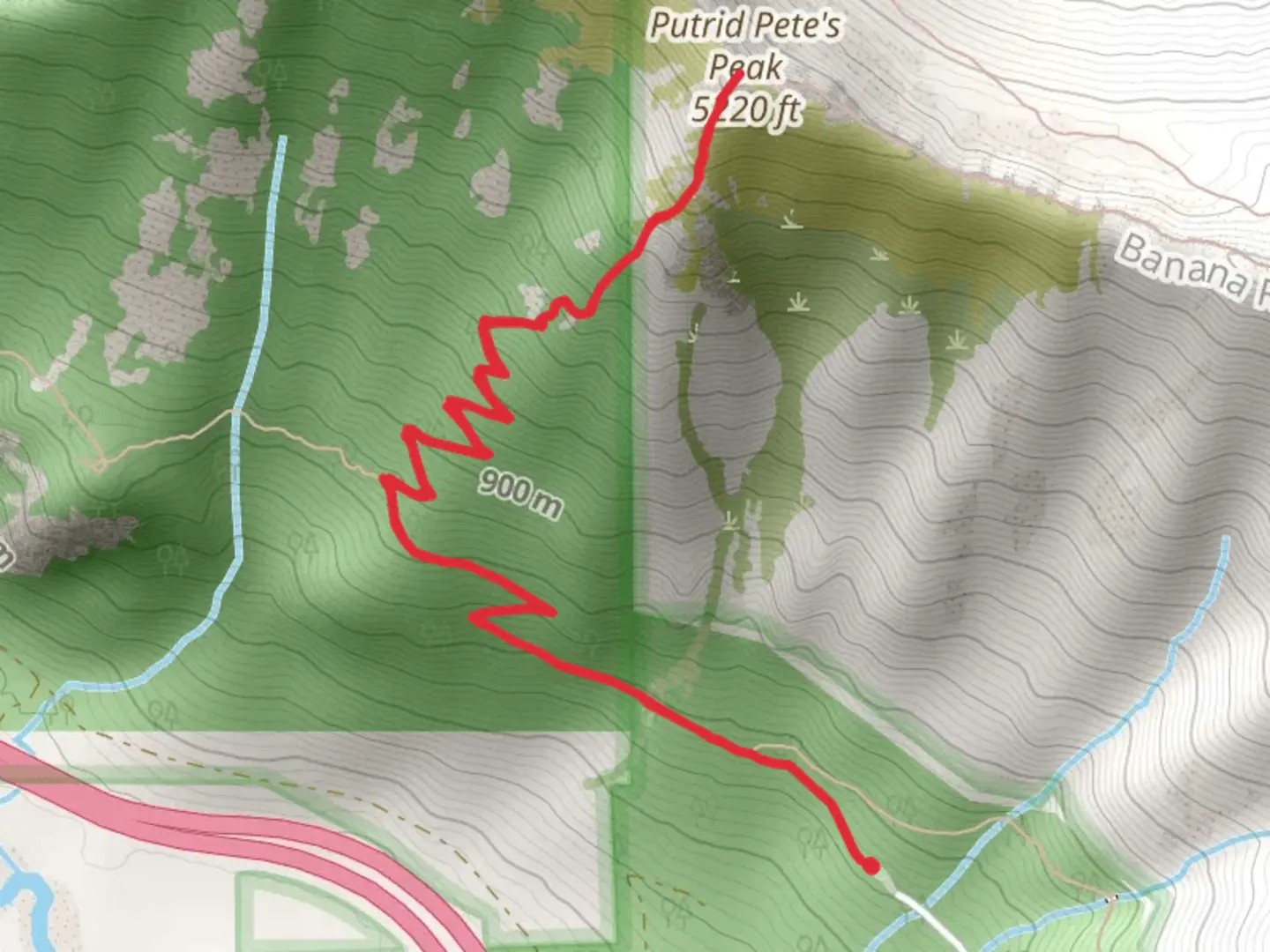 An image depicting the trail Putrid Pete's Peak via Ira Spring Trail and its surrounding area.