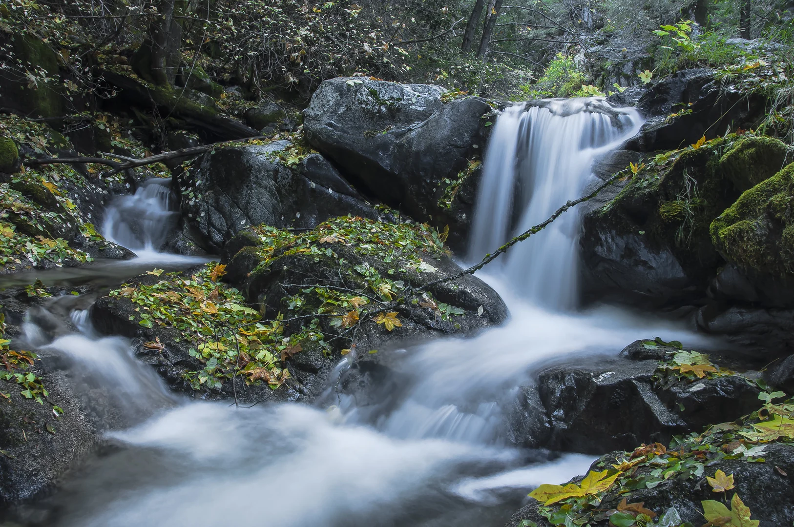 An image depicting the trail Brandy Creek and its surrounding area.