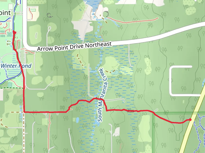 Winter Pond and Forest to Sky Trail