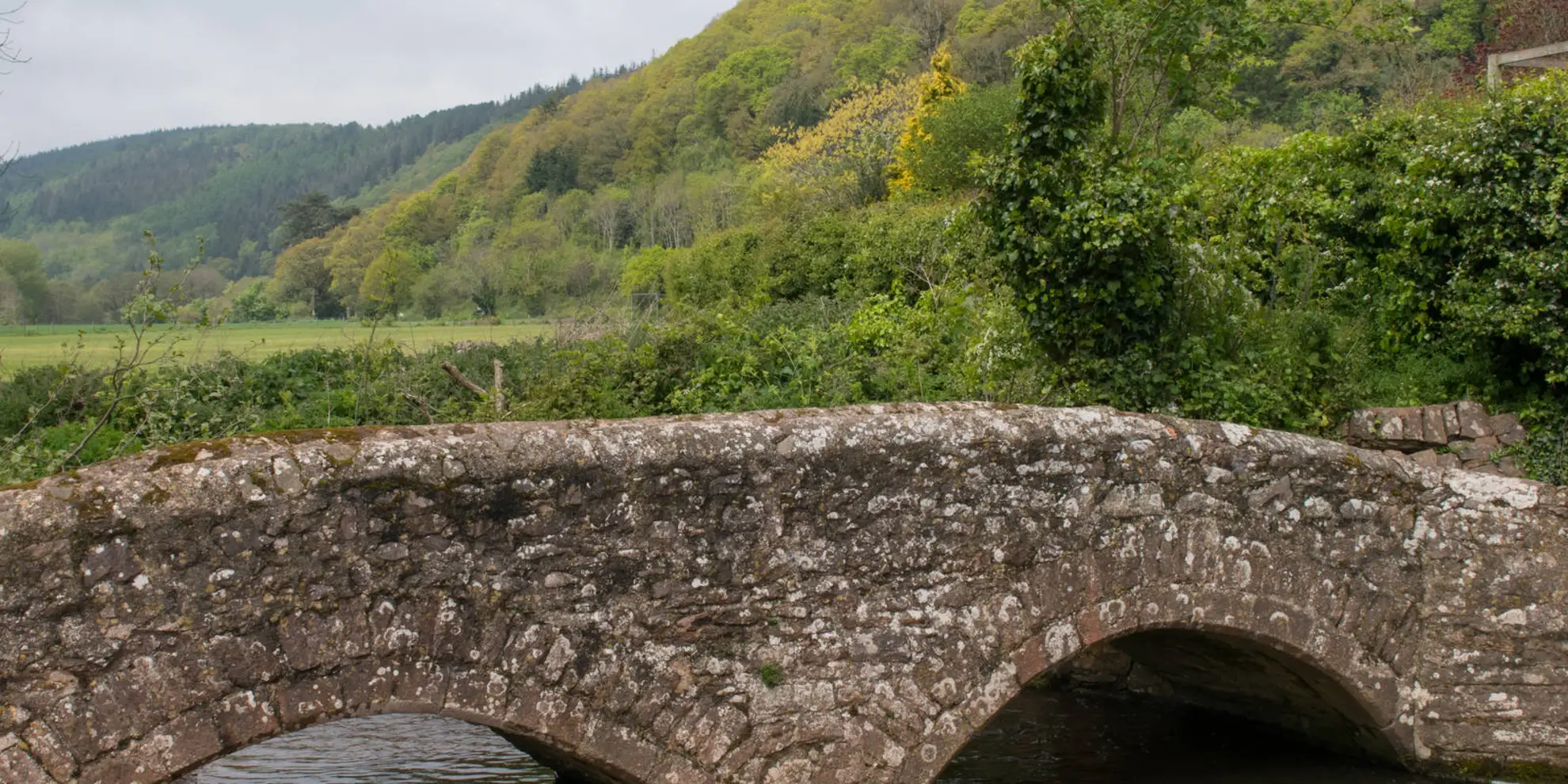 An image depicting the trail Minehead to Dunster and its surrounding area.