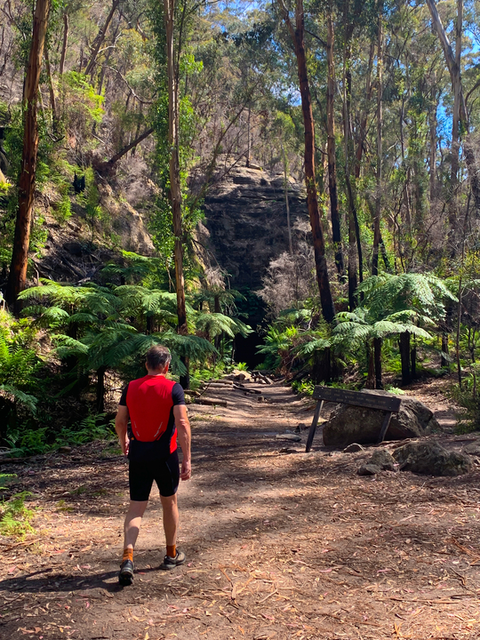 Glow Worm Tunnel Track