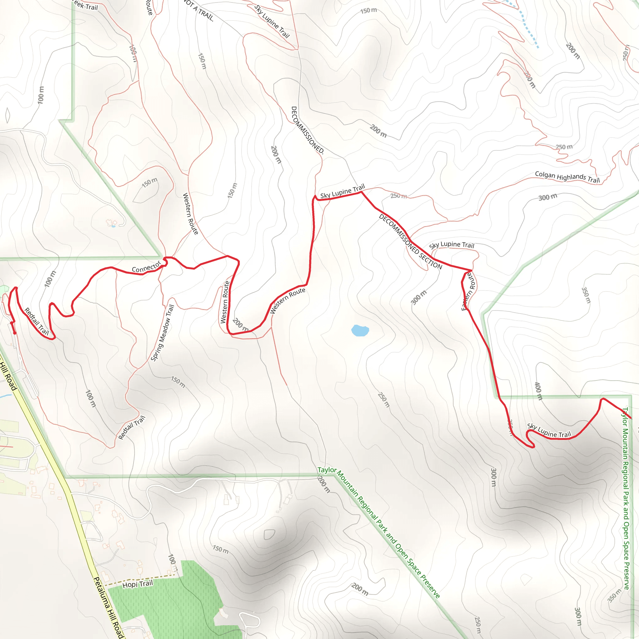 Taylor Mountain via Western Route and Sky Lupine Trail mobile static map