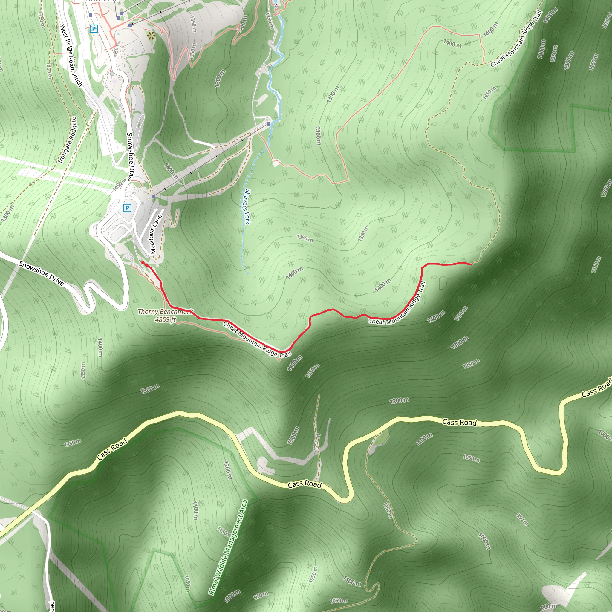 Cheat Mountain Ridge Trail Out and Back mobile static map
