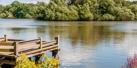 An image depicting the trail Epping Forest Centenary Walk and its surrounding area.