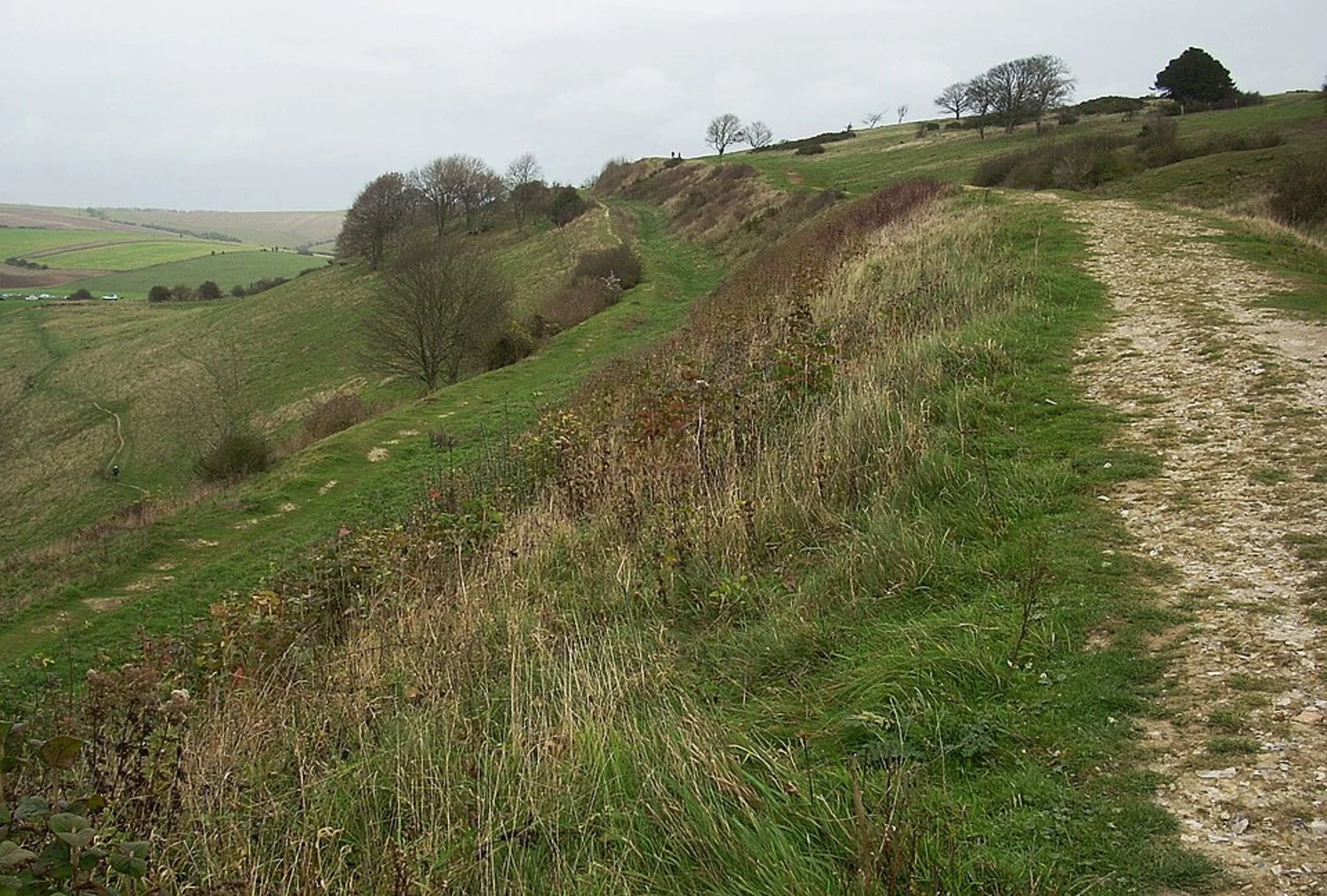 An image depicting the trail National Trust - Cissbury Ring Loop and its surrounding area.