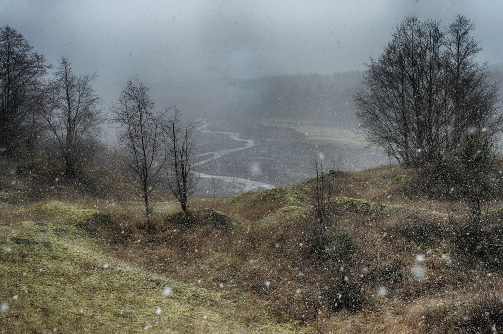 An image depicting the trail Hummocks Trail and its surrounding area.