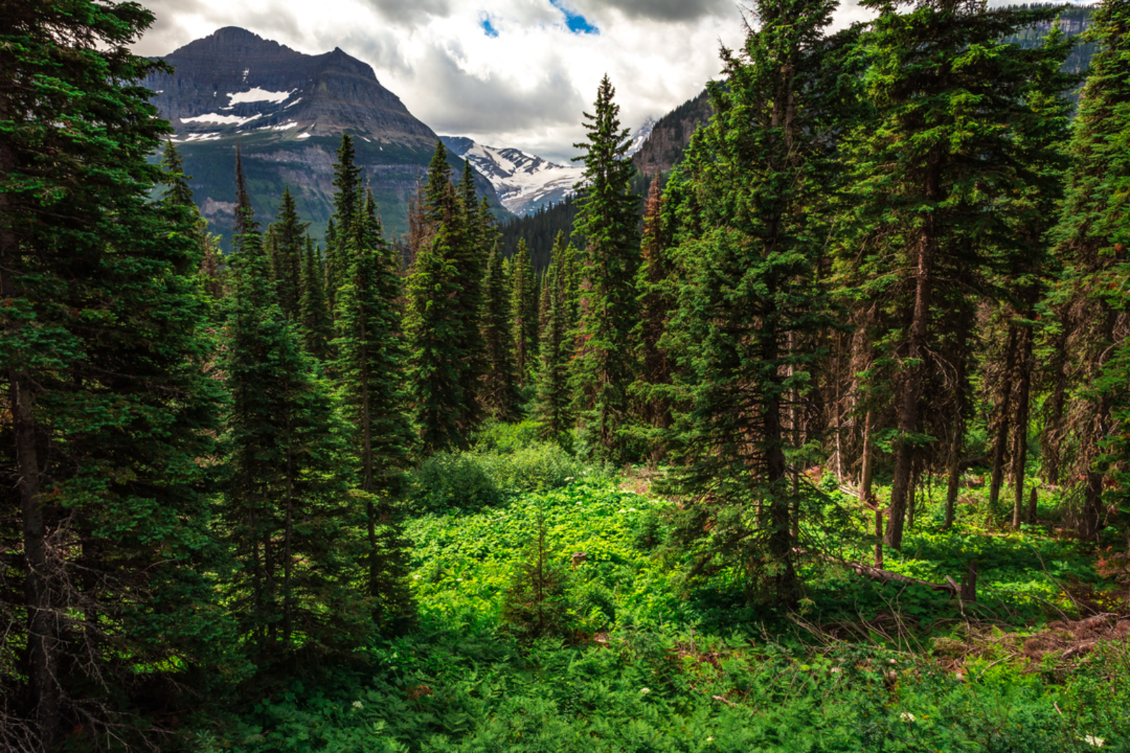 An image depicting the trail Piegan Pass Trail and its surrounding area.