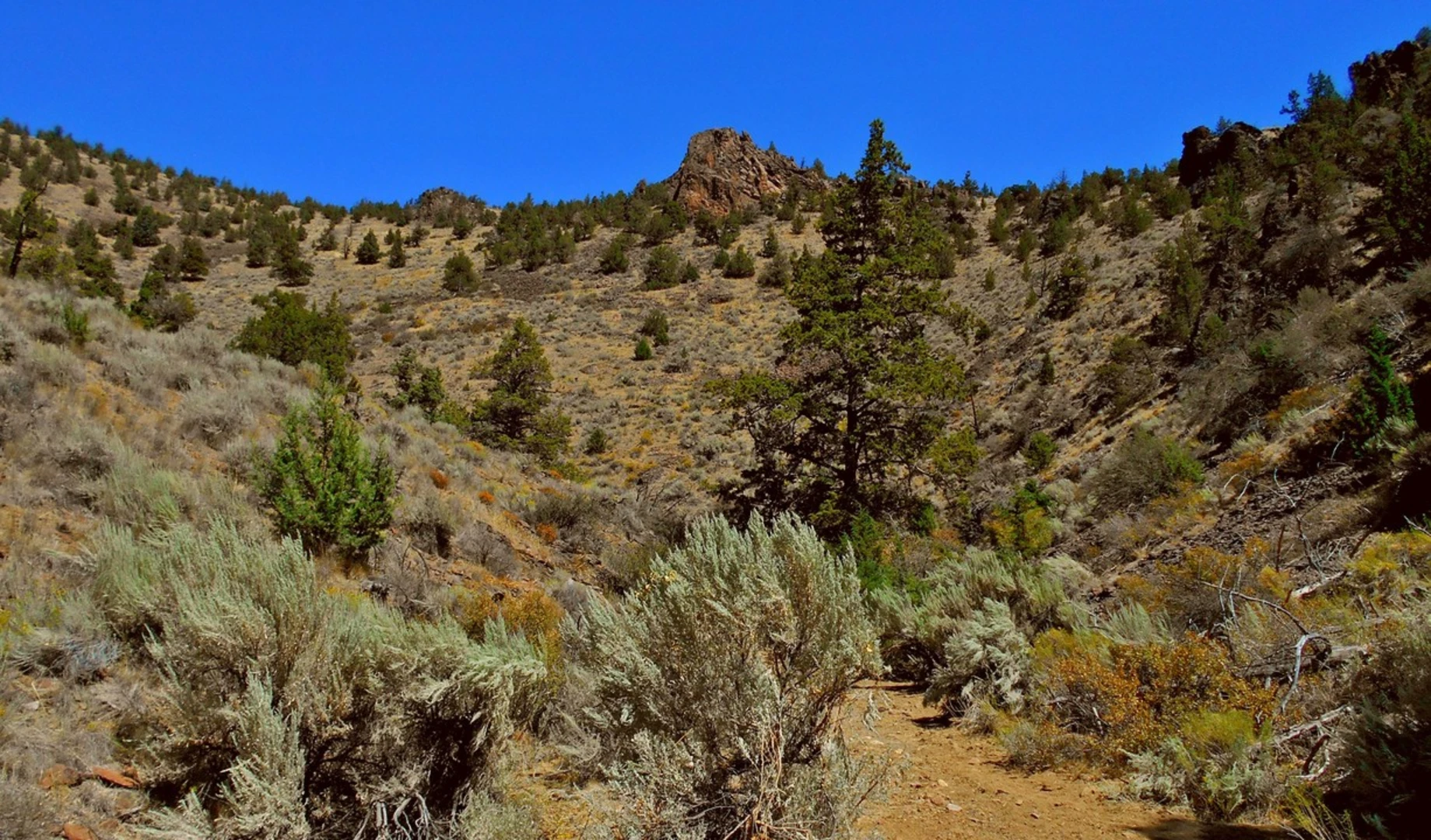 An image depicting the trail Gray Butte Trail and its surrounding area.