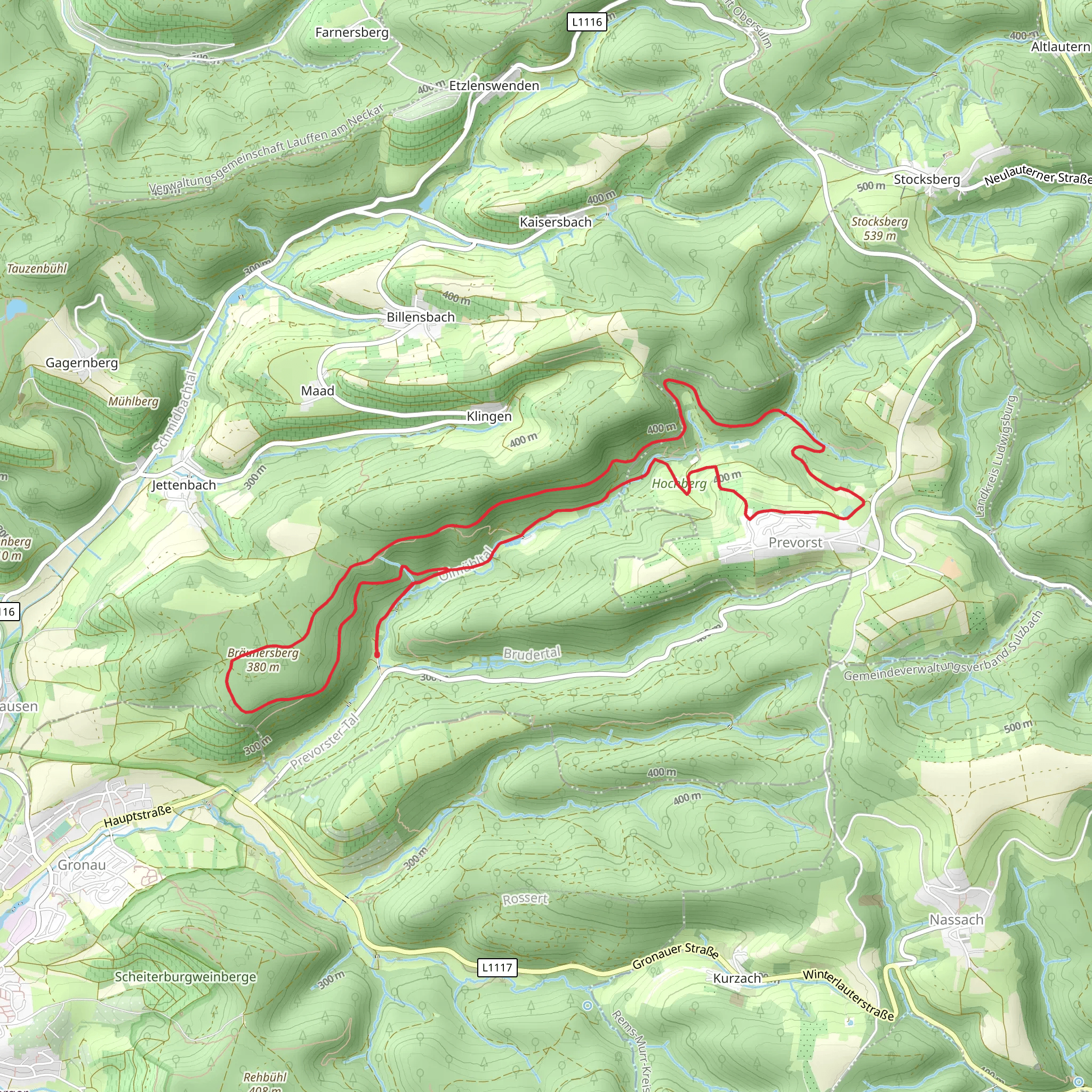 Braeunersbergweg and Reifstangenweg Loop mobile static map