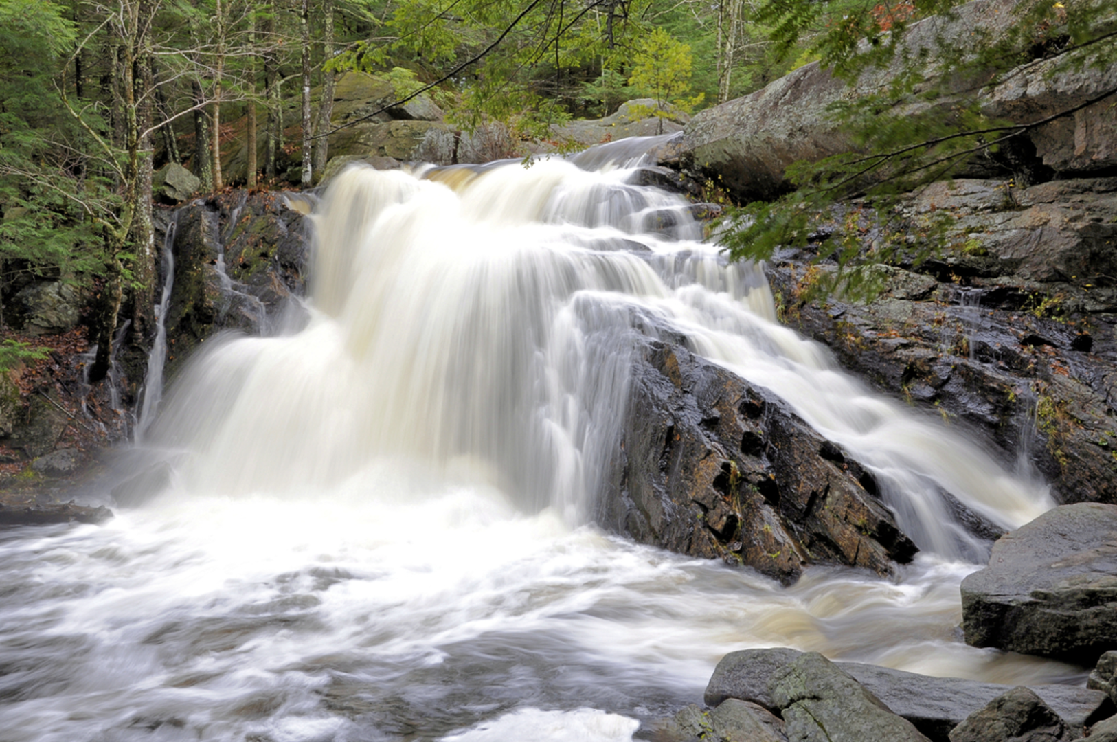 An image depicting the trail Purgatory Lower Falls Trail and its surrounding area.