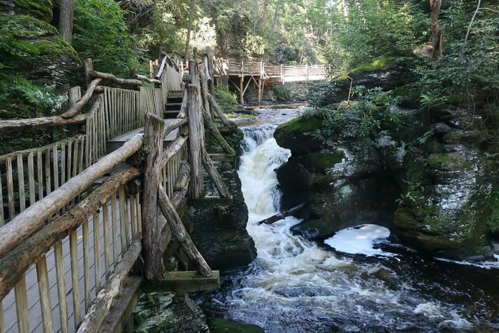 An image depicting the trail Bushkill Falls and Little Bushkill Creek Loop and its surrounding area.